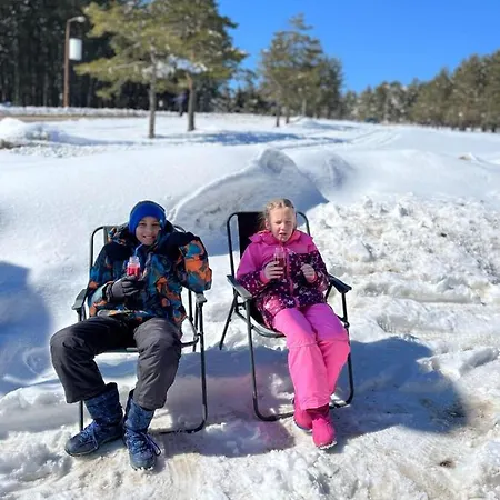 Mm Sofy Appartement Palisat