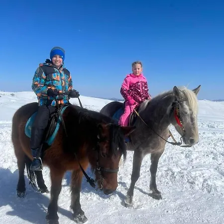 Appartement Mm Sofy *