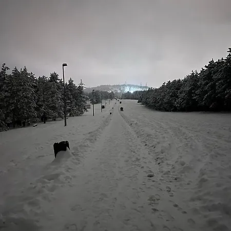 Appartement Mm Sofy *